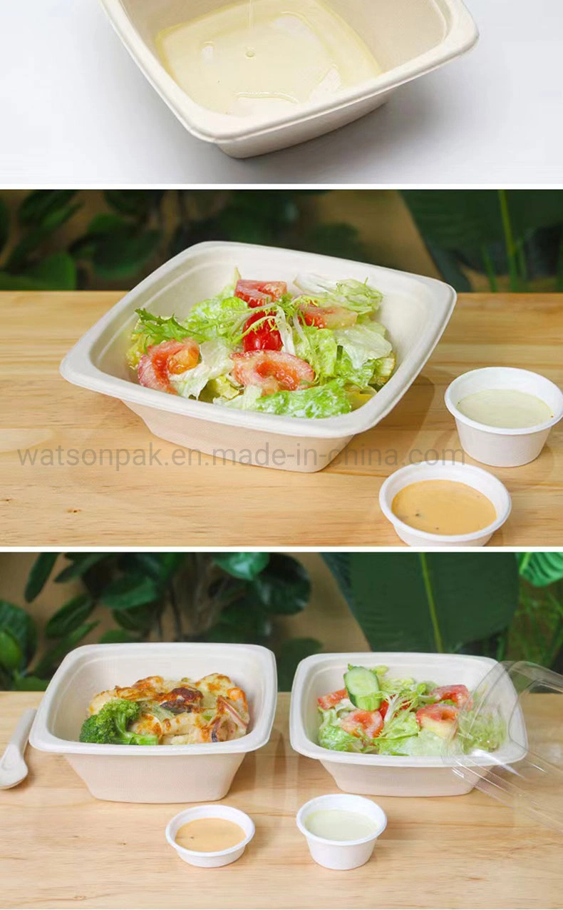 Compostable Eco-Food Packaging Bagasse Paper Bowl Snack Box Menu Bowl Gourmet Box Sandwich Box Square Box with Clear Pet Lid for School Lunch, Buffet, and Party