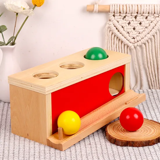 Montessori Wooden Toys Object Coin Box 