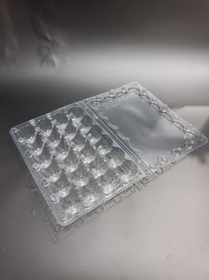 Clear Plastic Pet Egg Packaging Tray Clamshell Plastic Egg Box 