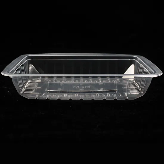 Disposable Plastic Tableware 180mm Length PP Plastic Box Clear Custom for Takeaway 