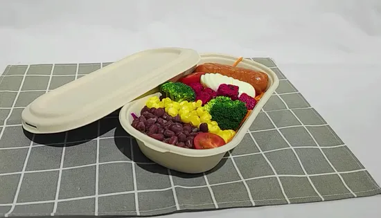 Disposable 500ml / 750ml / 1000ml Biodegradable Bagasse Food Boxes with Pet Clear Lid, PP Lid, Paper Lid 