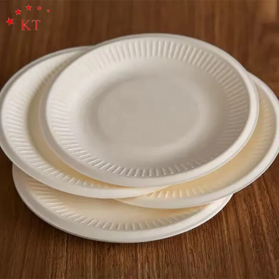 Biodegradable Tableware Compostable Sugarcane Paper Pulp Bagasse Takeaway Wholesale Food Packaging Container Lunch Box 
